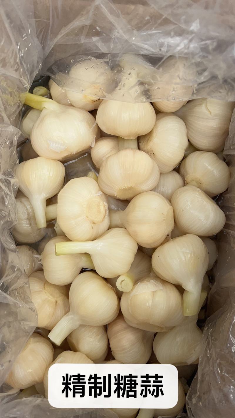 萝卜干贡菜大头菜海带丝几十种咸菜下饭菜跑江湖地摊货源批发