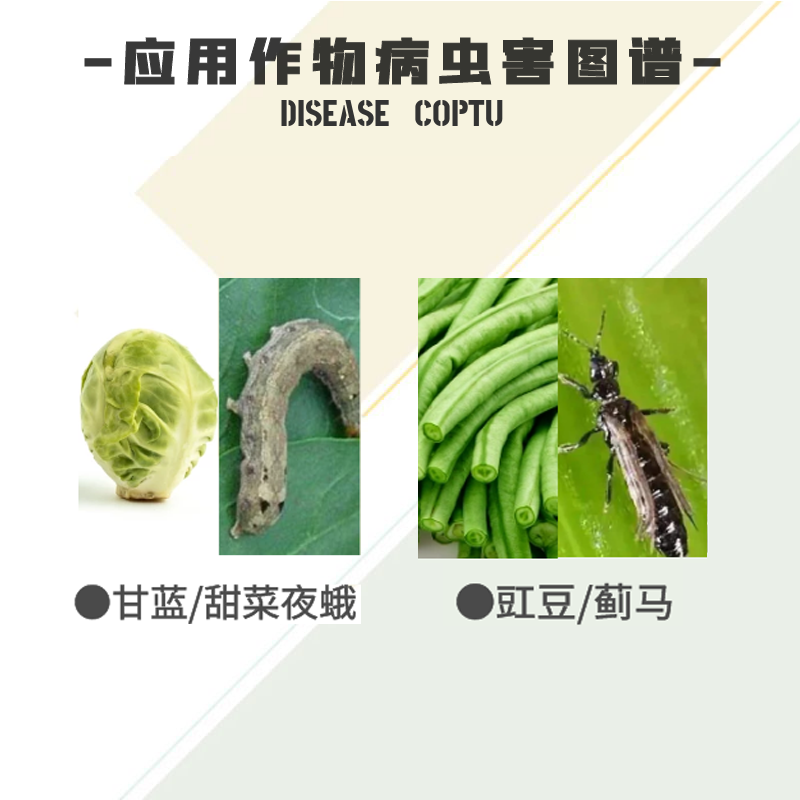 20%虫螨腈唑虫酰胺蔬菜抗性蓟马茶叶茶小绿叶蝉杀虫剂