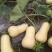 城固南瓜奶油南瓜，口感好，干，面，甜量大从优全国发货