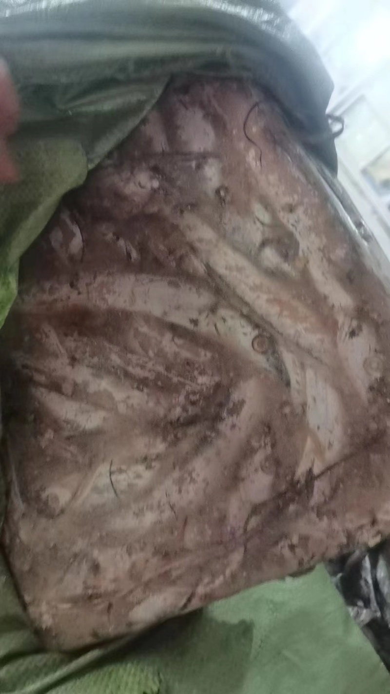 饲料带鱼一件净重15毛重26一件56