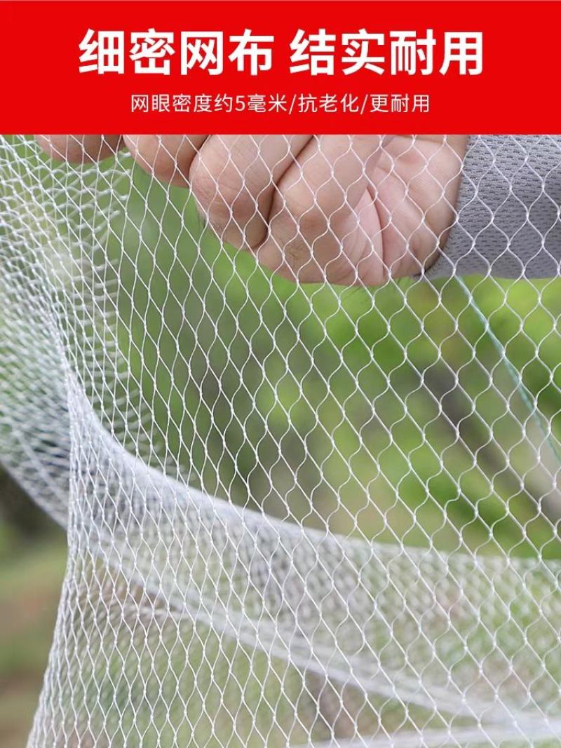 简易折叠白虾网渔具三层专用钓螃蟹小龙虾地网兜捕虾吊捉龙虾