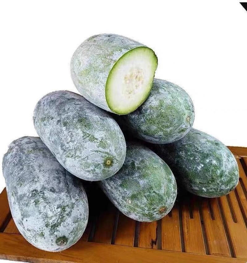 冬瓜黑皮冬瓜白皮冬瓜产地现摘现发欢迎来电订购