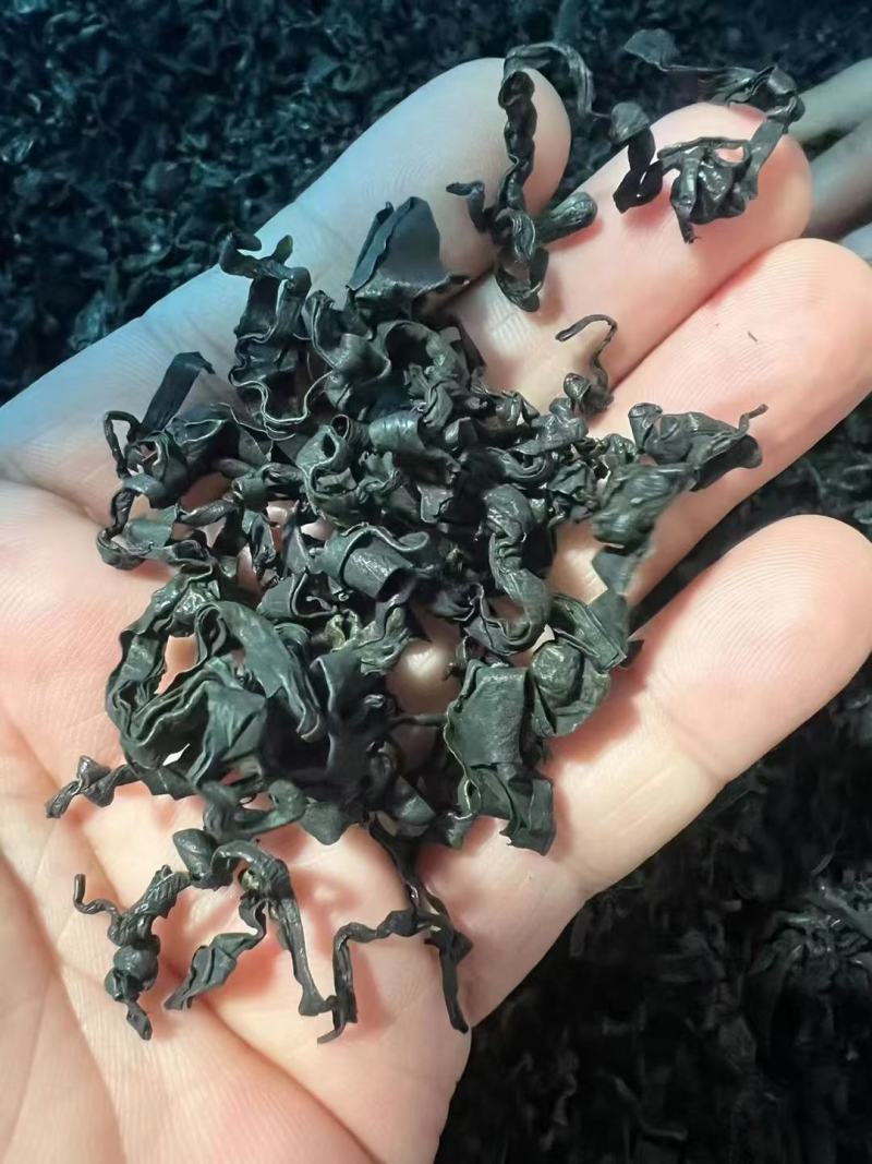 大连金石滩黄金产地淡干裙带菜出口品质厂家直供物美价廉诚