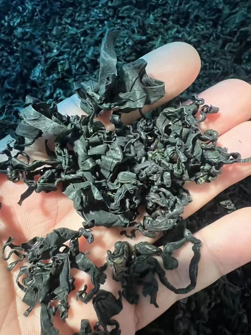 大连金石滩黄金产地淡干裙带菜出口品质厂家直供物美价廉诚