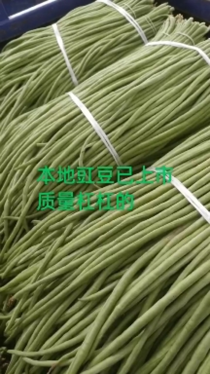 豇豆长豆角产地直发欢迎咨询合作品质保证全国发货