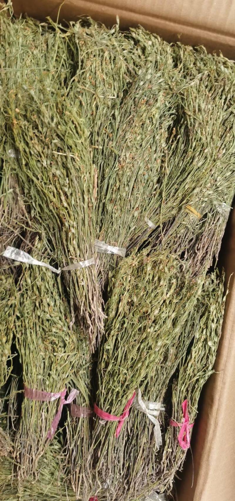 独脚金青绿新货，厂货，新货产地一手货源，量大从优电联