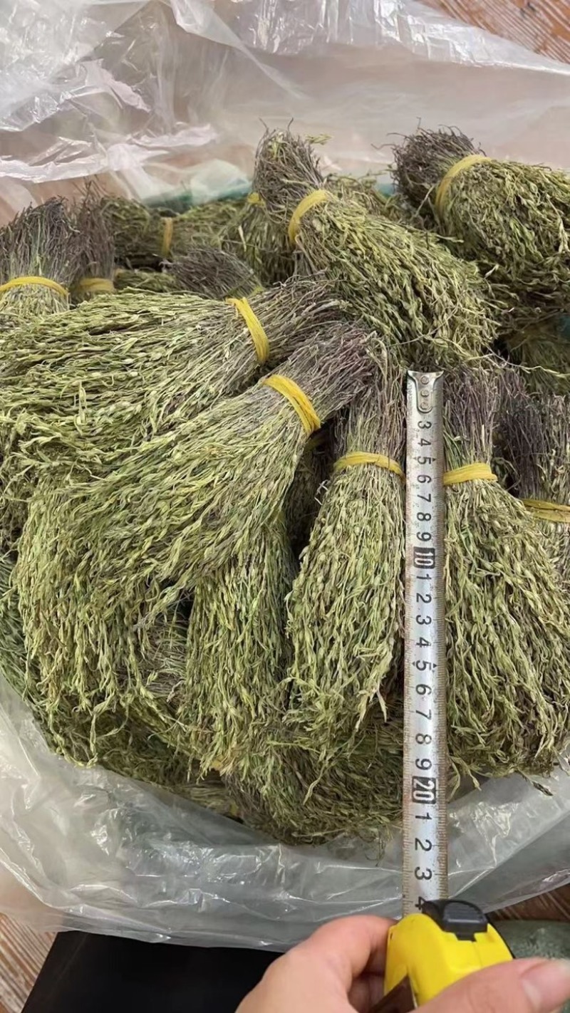 独脚金青绿新货，厂货，新货产地一手货源，量大从优电联