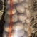 河北蔬菜基地沃土土豆大量有货，表面光滑细腻，口感好，交通