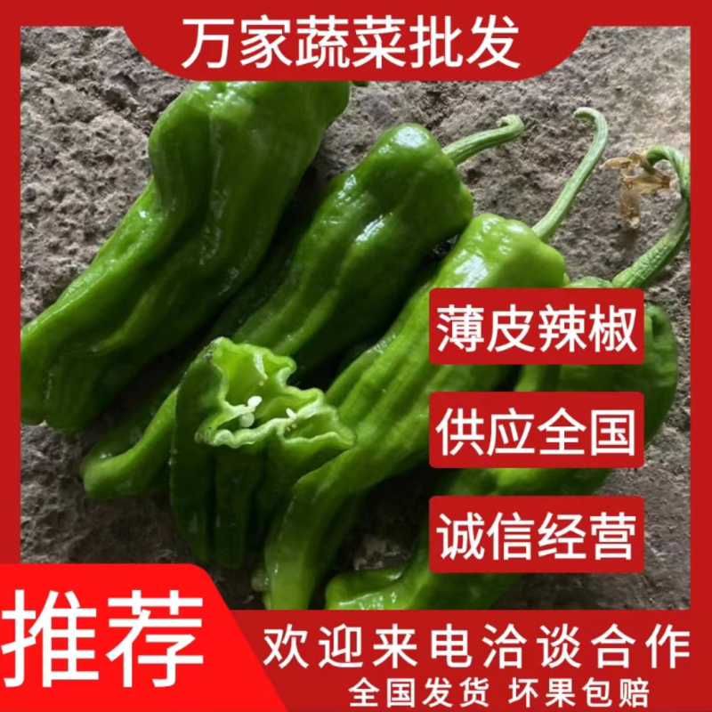 薄皮辣椒301辣椒苏椒欢迎订购质量保证支持各种包装