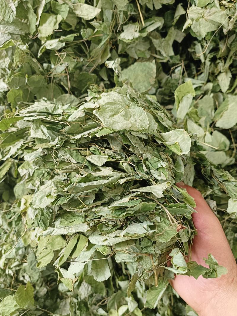[热卖]甘肃净装货淫羊藿干货产地直发品质保证