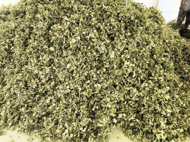 [热卖]甘肃净装货淫羊藿干货产地直发品质保证