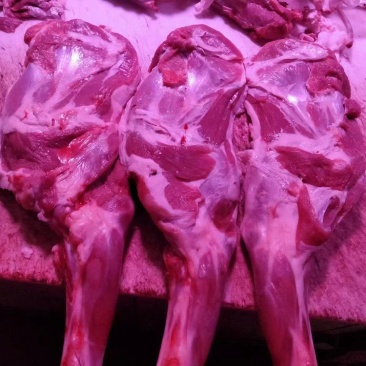 羔羊羊腿烧烤专用40小羔羊