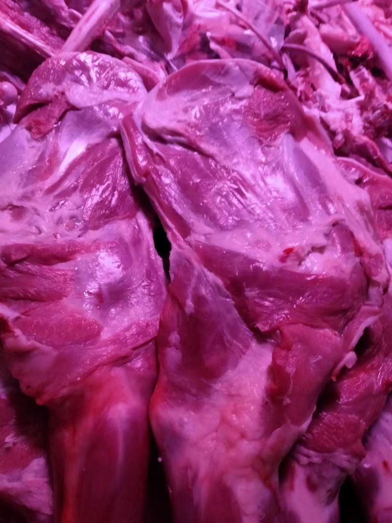 羔羊羊腿烧烤专用40小羔羊