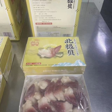 北极贝尖