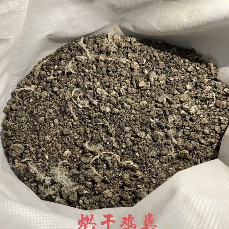 烘干颗粒鸡粪