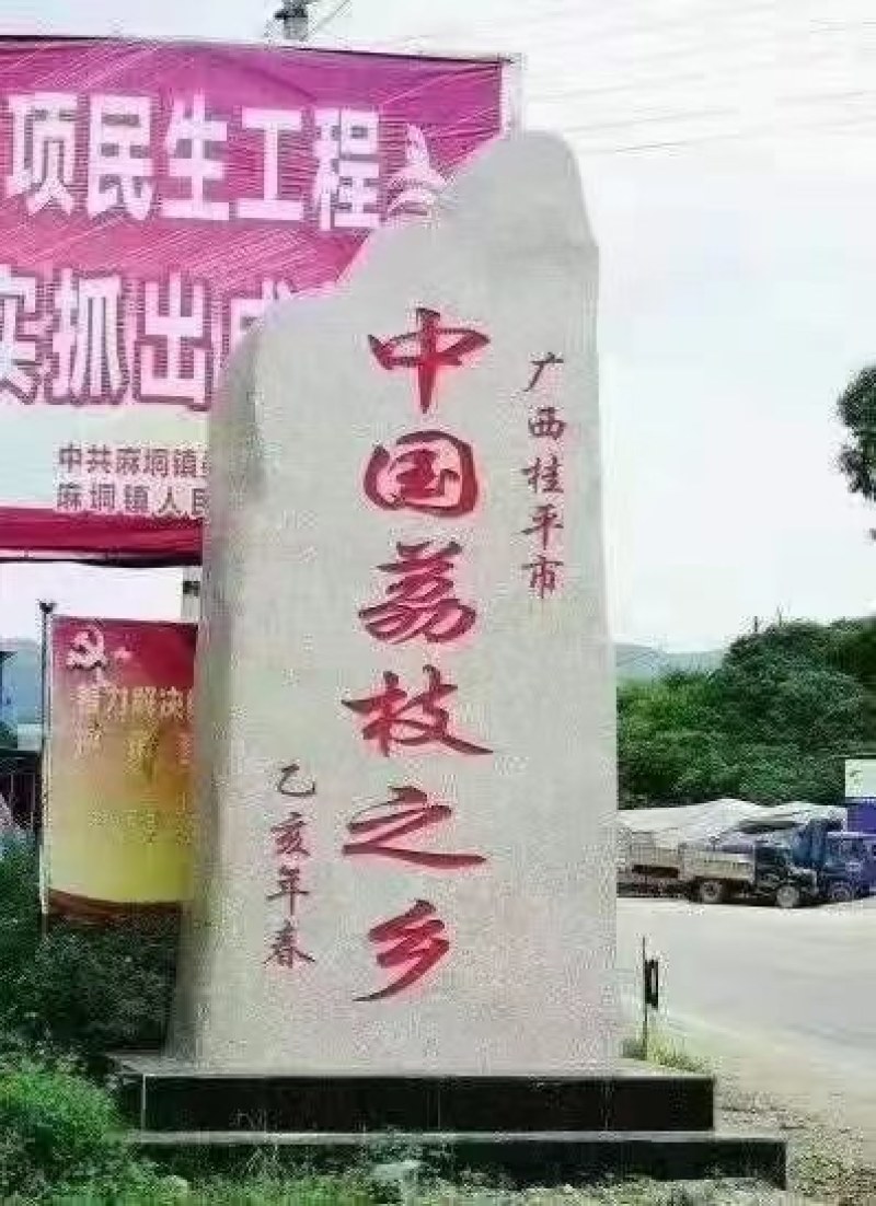 热卖广西荔枝，大和荔肉厚核小产地直发一件代发