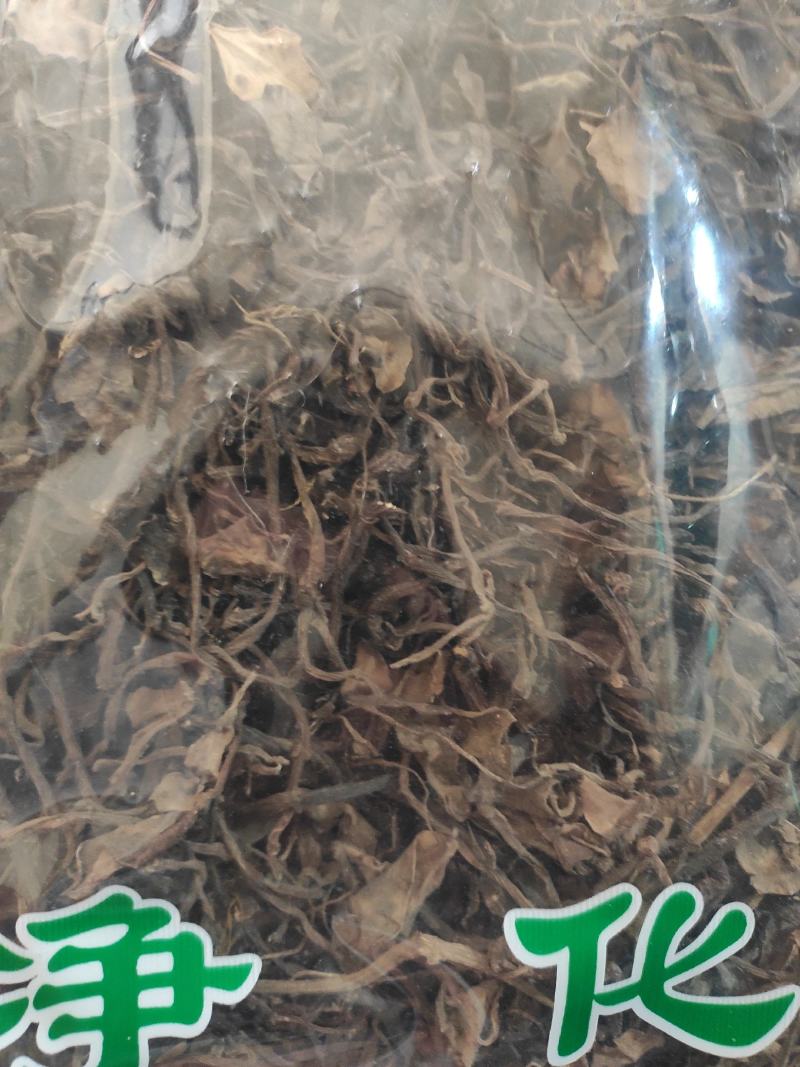 胡椒草干货石蝉草中药材欢迎选购！