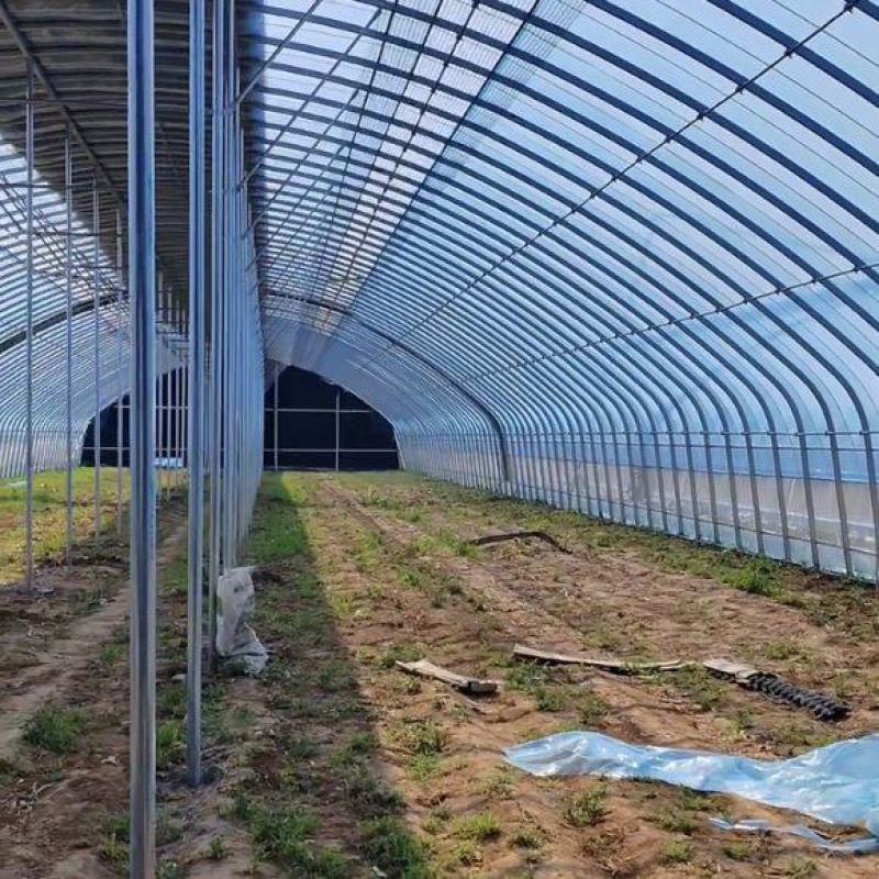 专业生产蔬菜种植大棚管型齐全全国发货包建