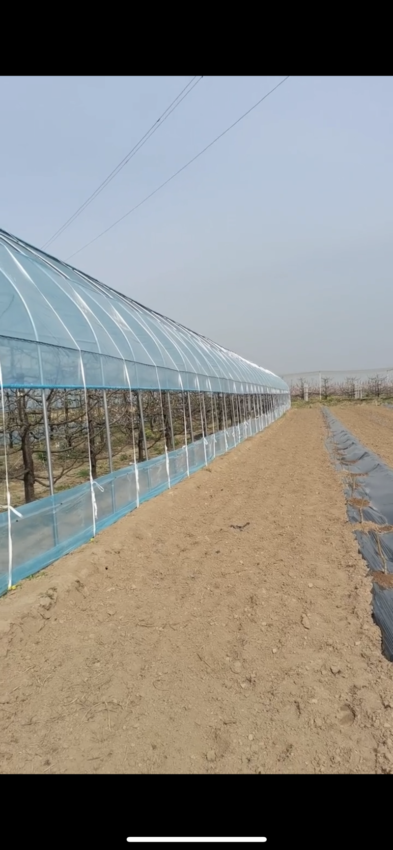 专业生产蔬菜种植大棚管型齐全全国发货包建