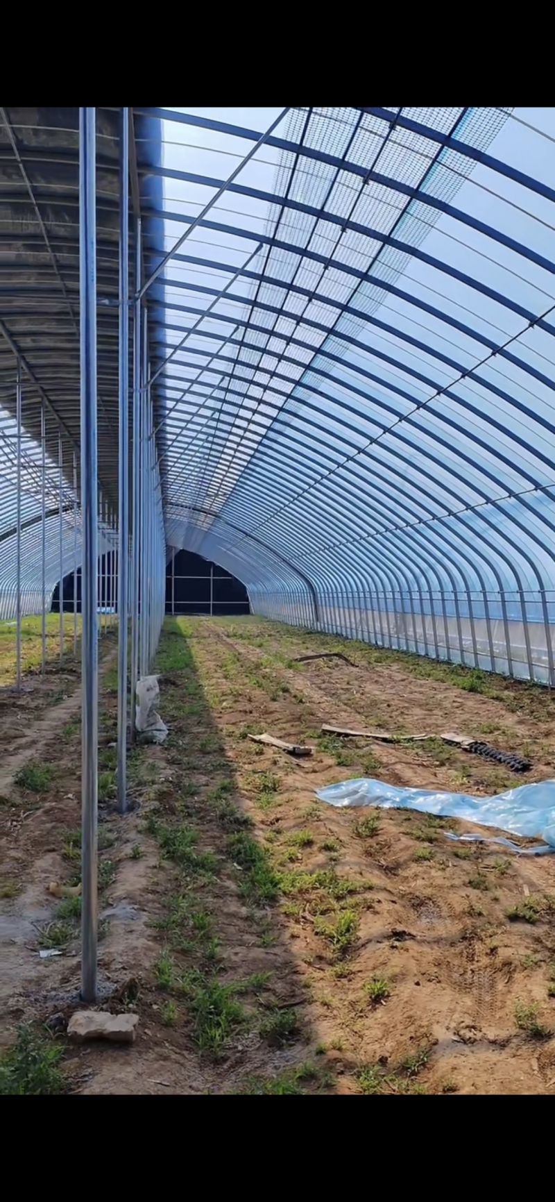专业生产蔬菜种植大棚管型齐全全国发货包建