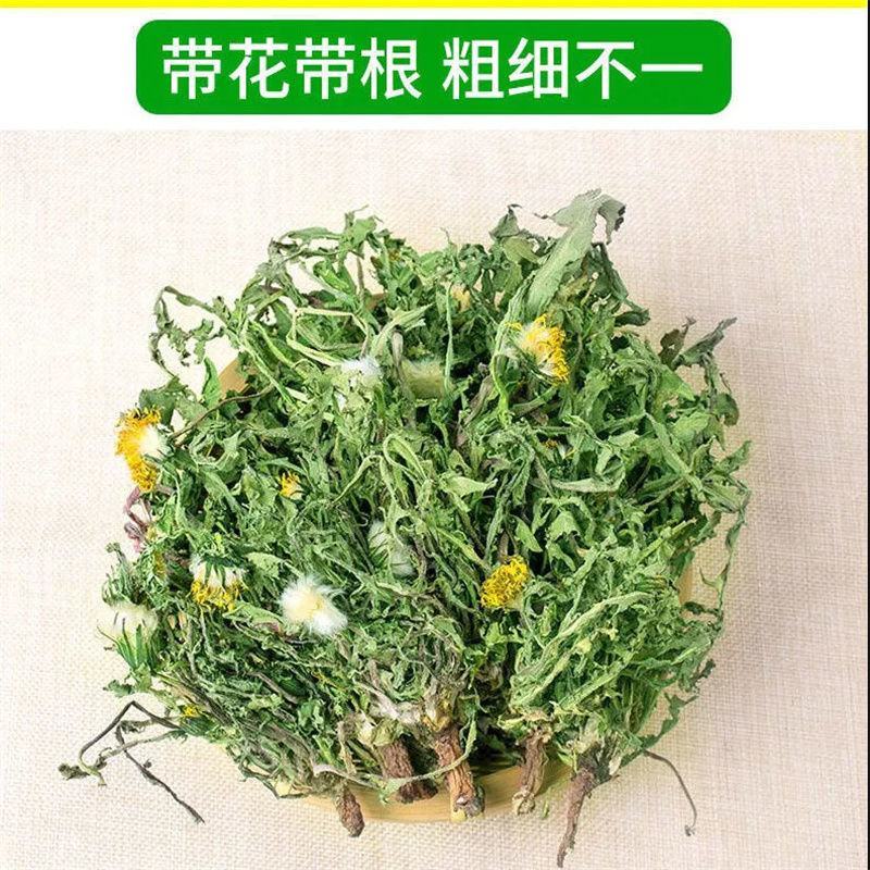 野生蒲公英干纯草带根叶天然野生养生花茶新鲜整颗婆婆丁消