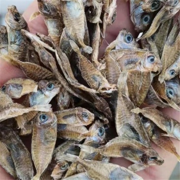 东北小鲫鱼干