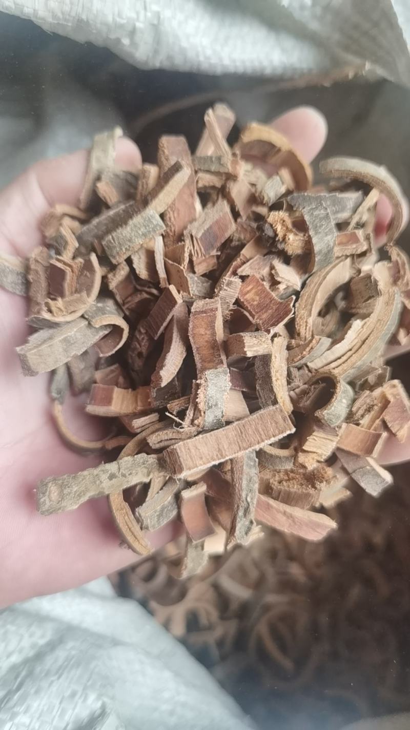 秦皮