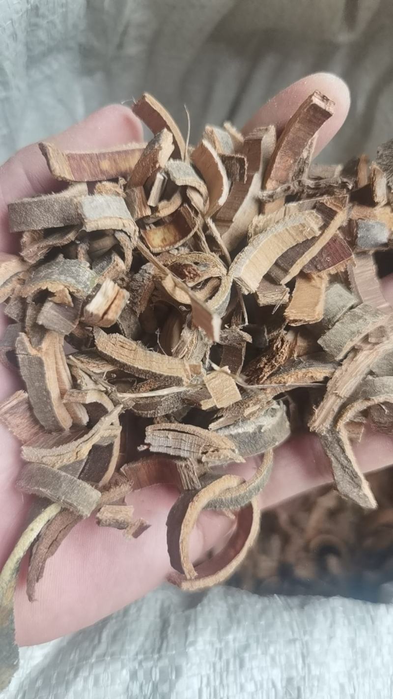 秦皮