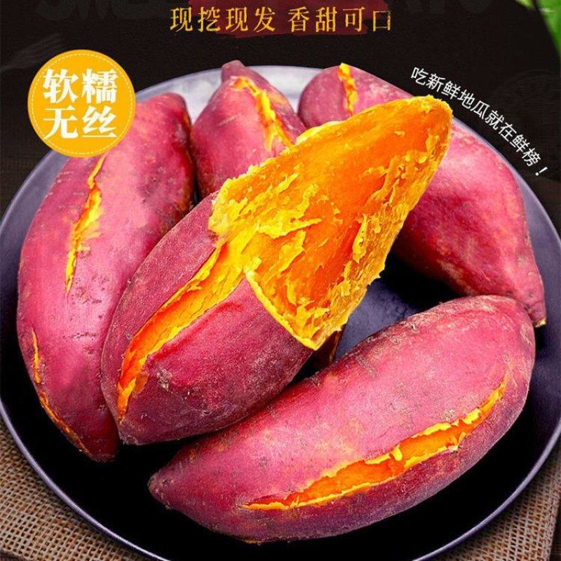 红薯大量供应市场供应电商量大供应长年供质量靠