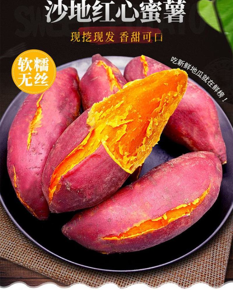 红薯大量供应市场供应电商量大供应长年供质量靠