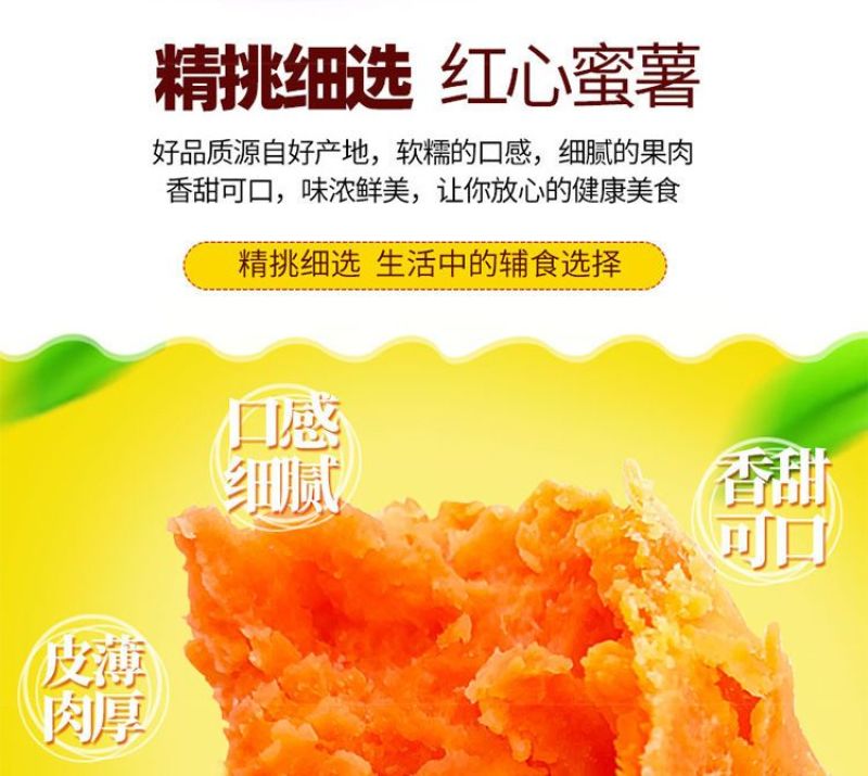 红薯大量供应市场供应电商量大供应长年供质量靠