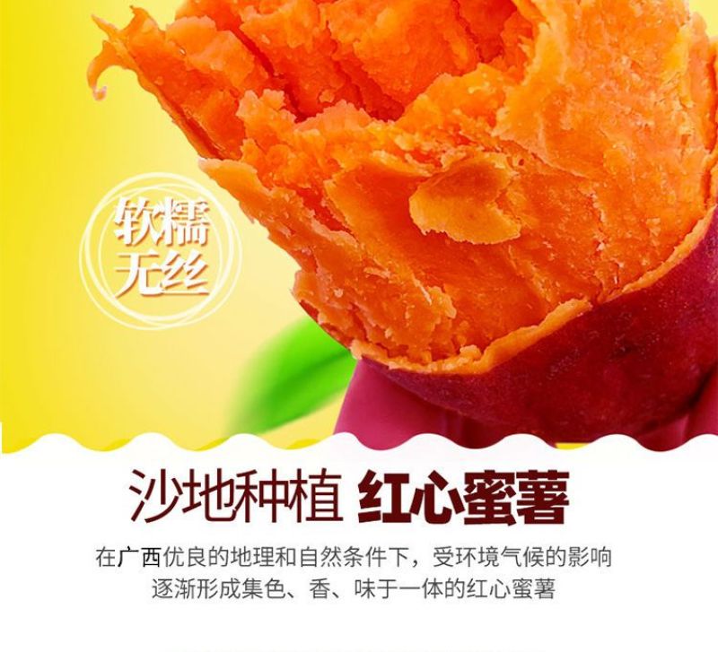 红薯大量供应市场供应电商量大供应长年供质量靠