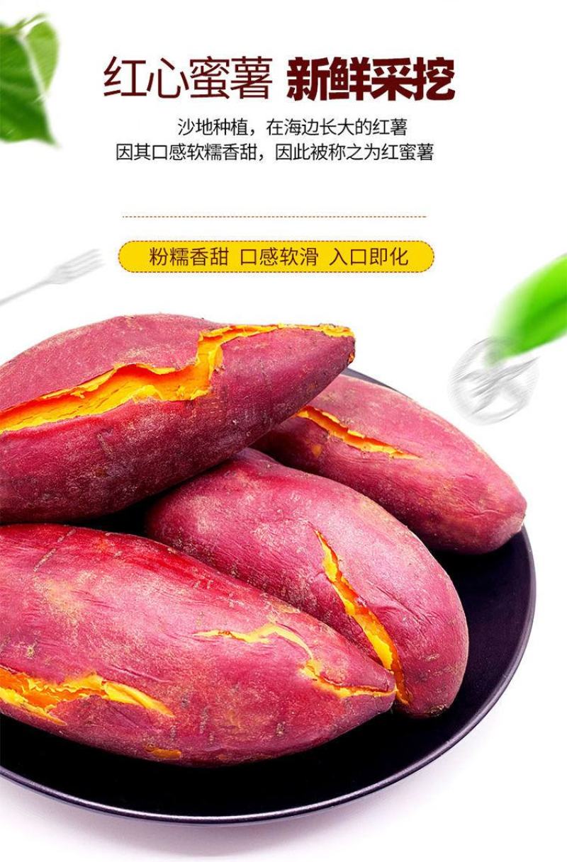 红薯大量供应市场供应电商量大供应长年供质量靠