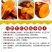 红薯大量供应市场供应电商量大供应长年供质量靠