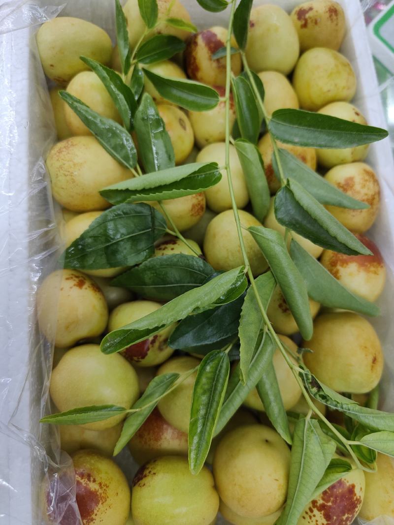大荔冬枣