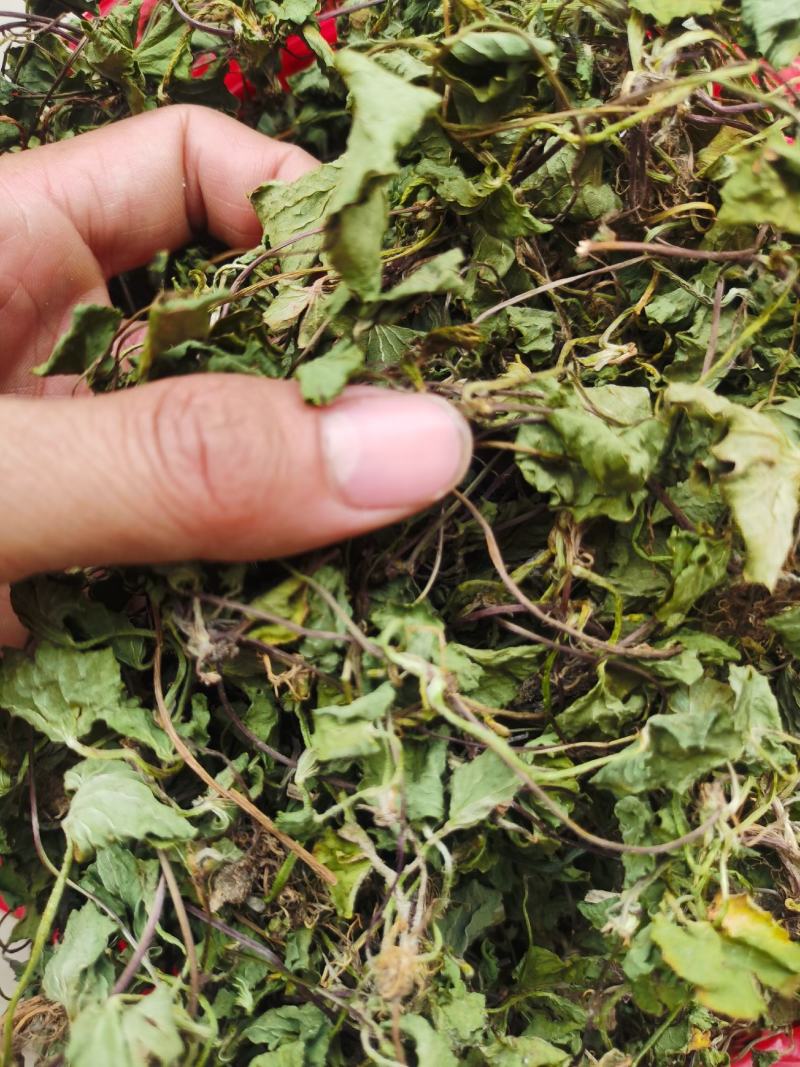 积雪草，雷公根，马蹄菜，干货包邮