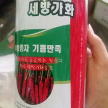 【优选】韩国佳美七寸胡萝卜种子罐装今年新种子