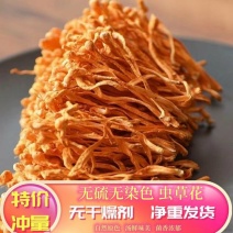 正宗无硫天然虫草花、正品菌菇金蛹火锅煲汤凉伴虫草花