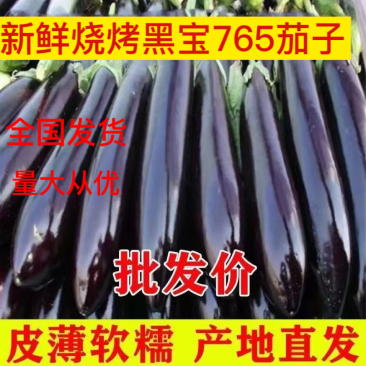 山东优质精品黑宝茄子，产地直发，量大从优，全国发货