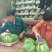 精品美都甜王西瓜诚信经营发往全国质量保证