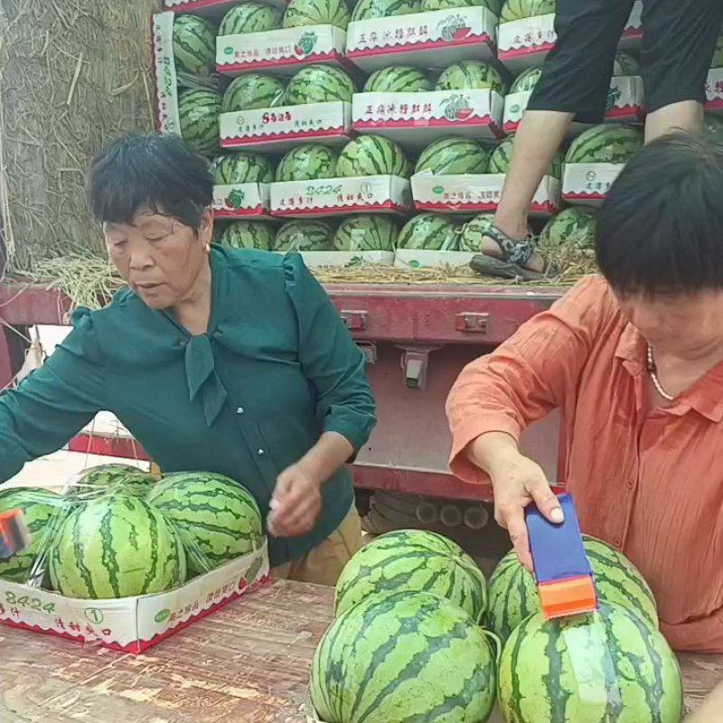 精品美都甜王西瓜诚信经营发往全国质量保证