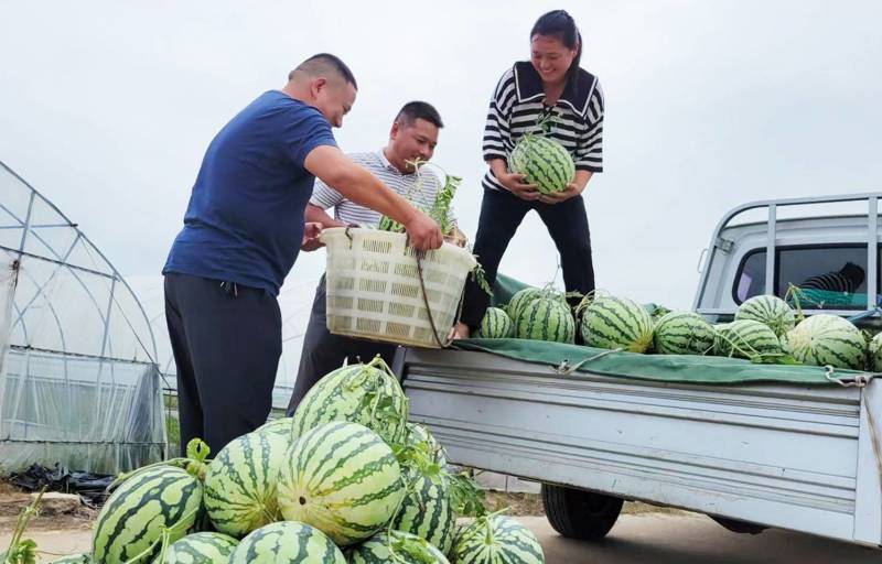 正品保障西瓜量大优惠