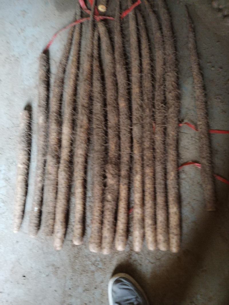 铁棍山药代办出售，各路货规格齐全，质量好，价格真实合理