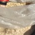 西洋参片长白山0.4到0.6花旗参片产地发货一手货源