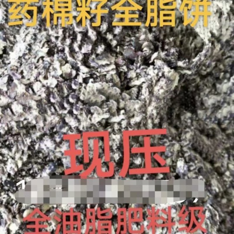 优质饼肥