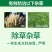 禾无影10.8%高效氟吡甲禾灵禾本科杂草芦苇茅禾上行
