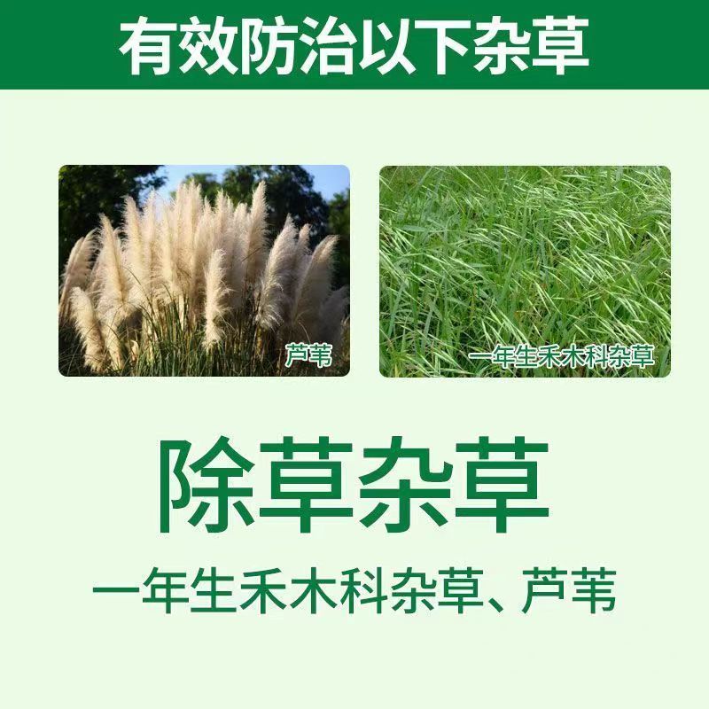 禾无影10.8%高效氟吡甲禾灵禾本科杂草芦苇茅禾上行
