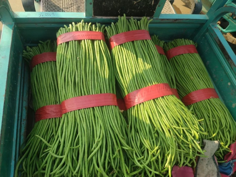精品蔬菜