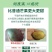 四川凯特芒果10斤特大果水果新鲜当季整箱应季现摘热