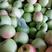 藤木苹果，河北主产区，脆甜，日供10万斤，一手货源。